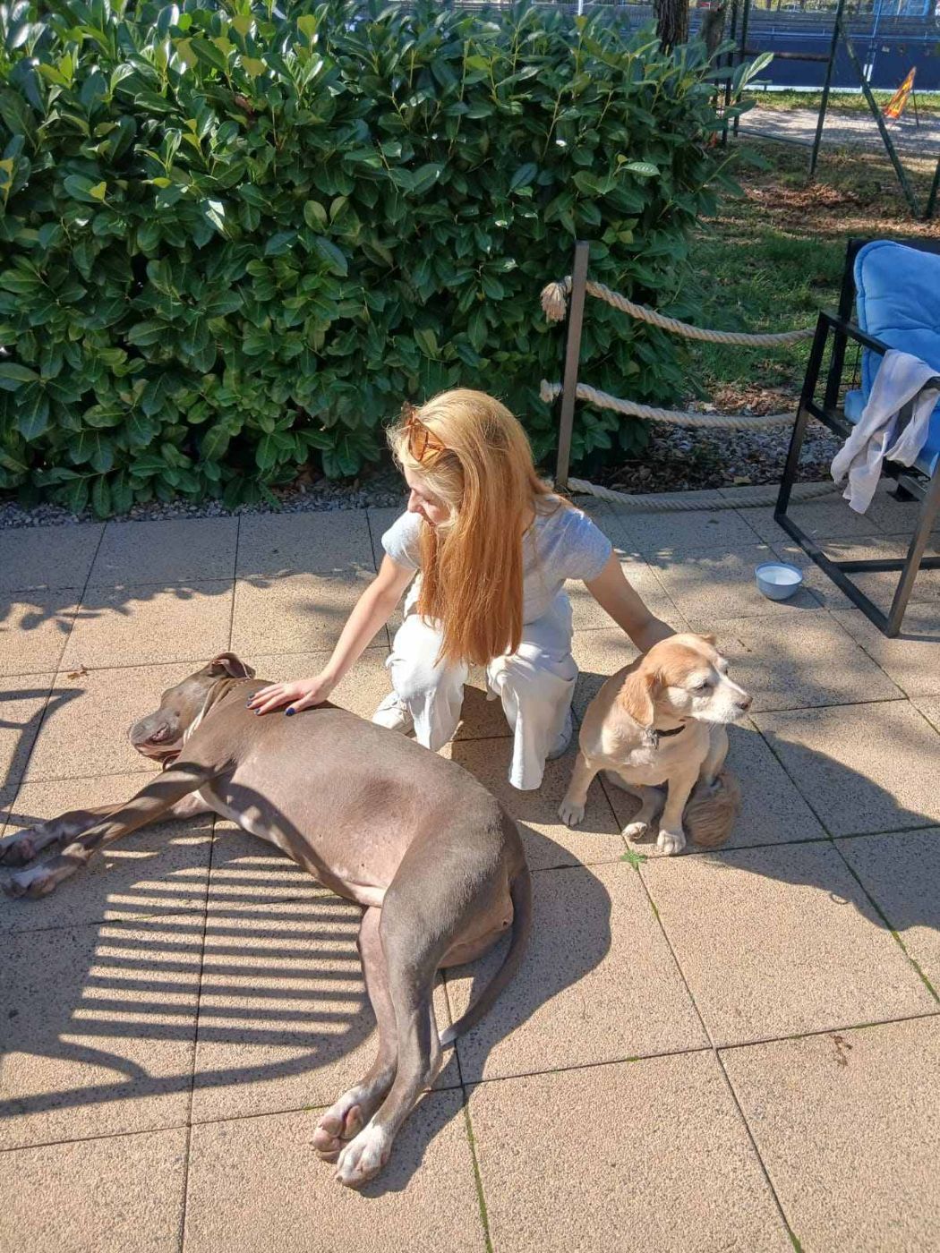 Lana mazi dva psa na sunčanoj terasi.