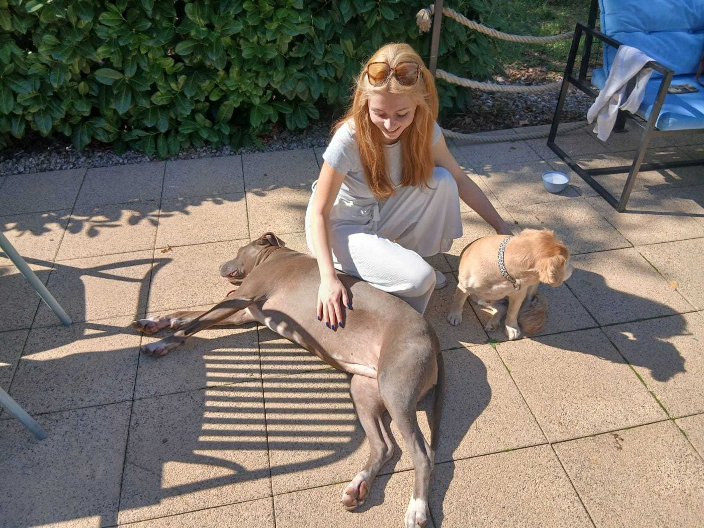 Lana čuči između dva psa na terasi.